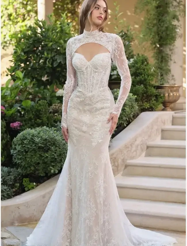 model is wearing a high neckline allover lace bridal gown