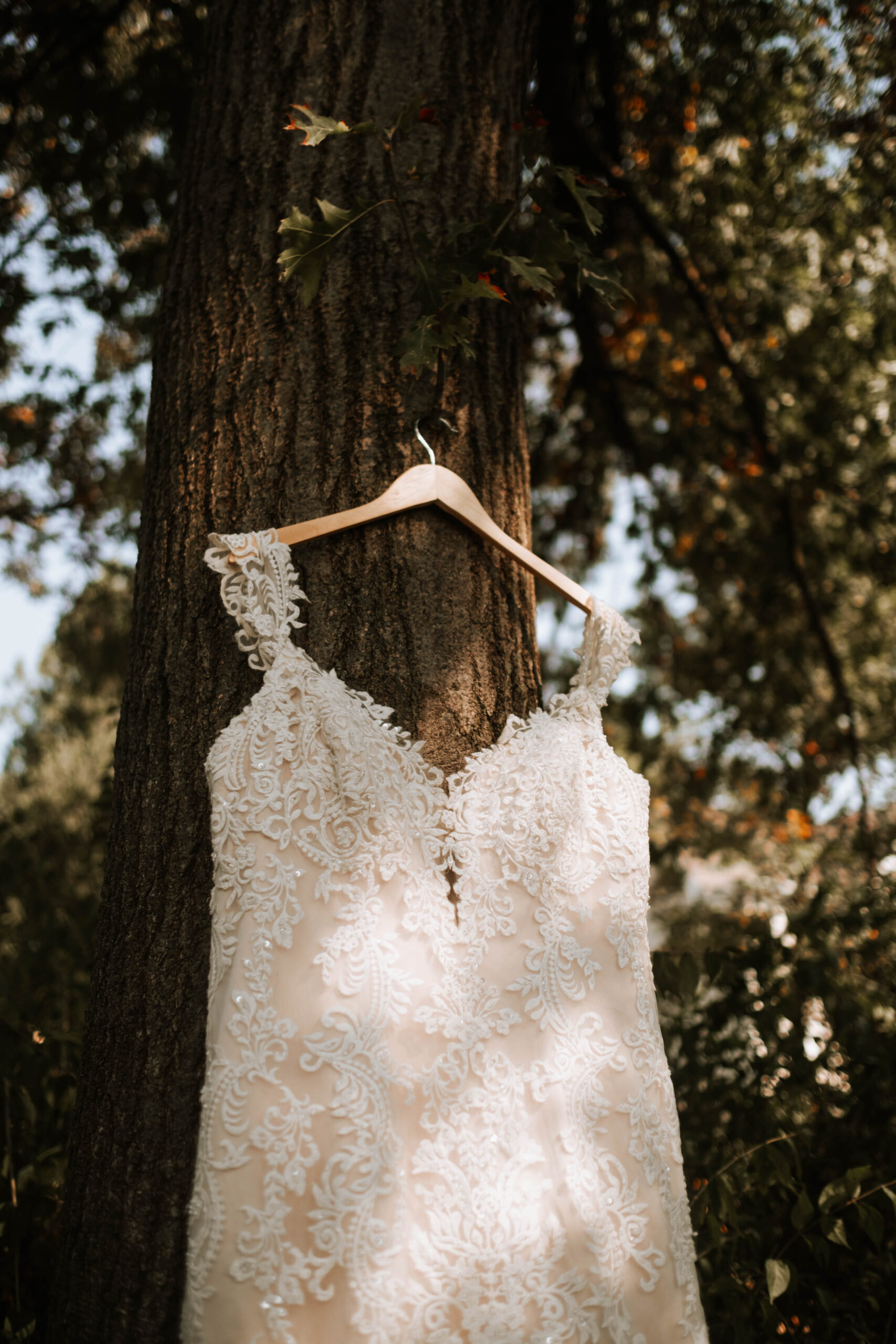 #dgbride: Halie. Desktop Image